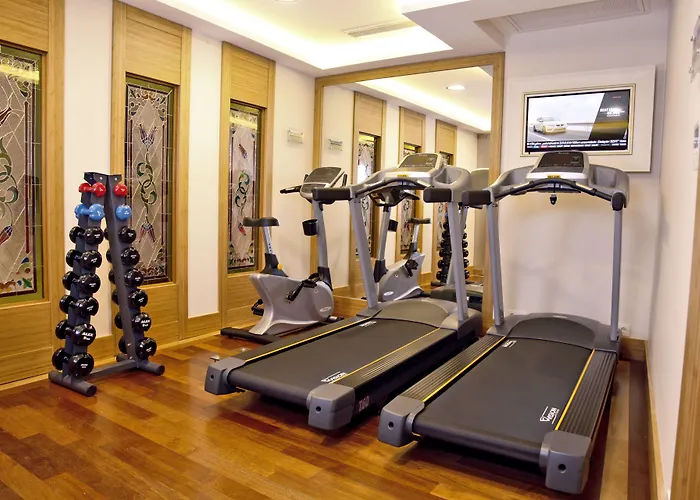 Hotel Glk Premier Sea Mansion & - Special Class