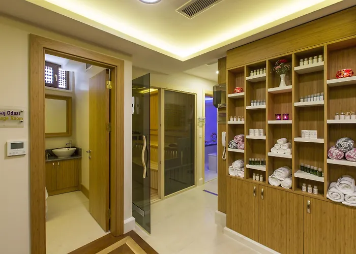 Hotel Glk Premier Sea Mansion & - Special Class 3*