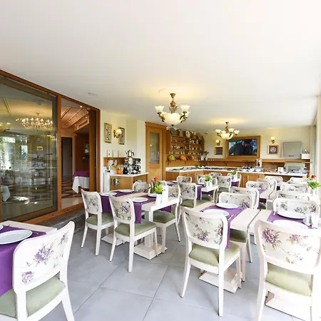 Glk Premier Sea Mansion & - Special Class 3*